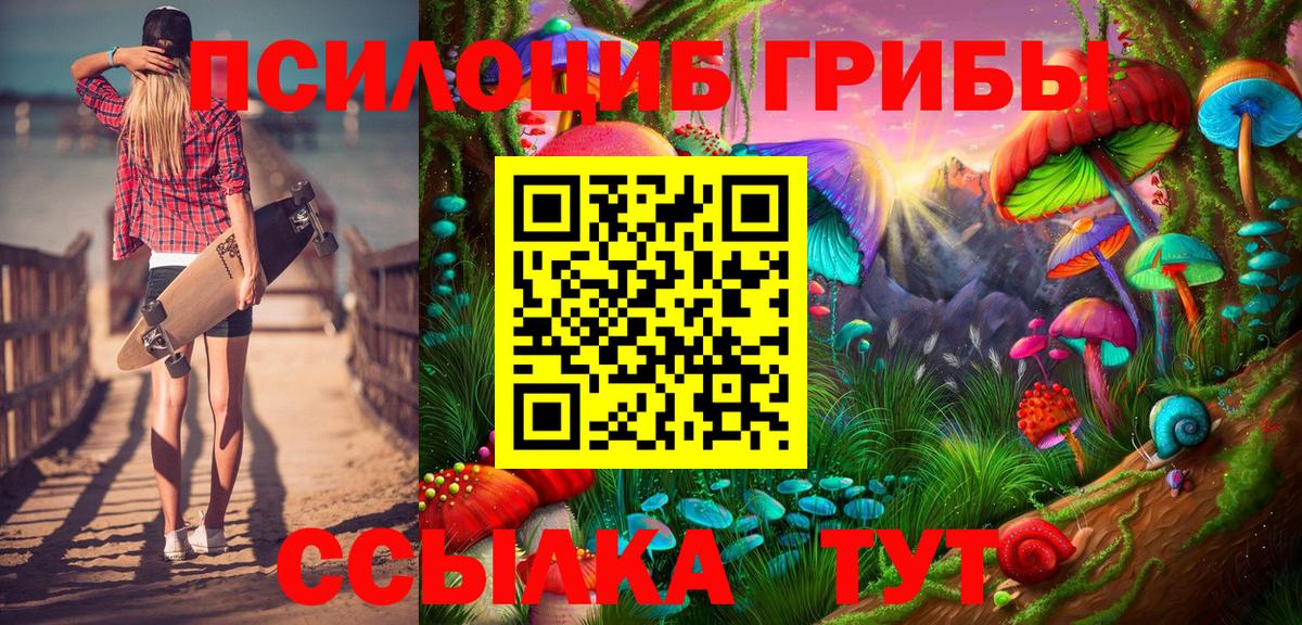 Галлюциногенные грибы Psilocybine cubensis  Вход с VPN  Псилоцибиновые грибы Cubensis  Ачхой-Мартан 