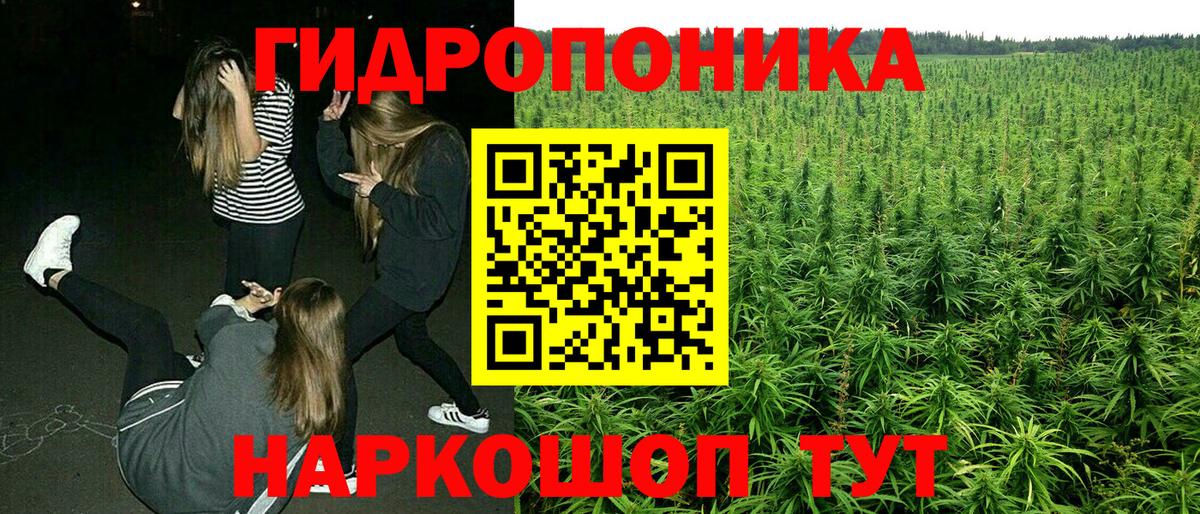 Шишки марихуана White Widow Ачхой-Мартан