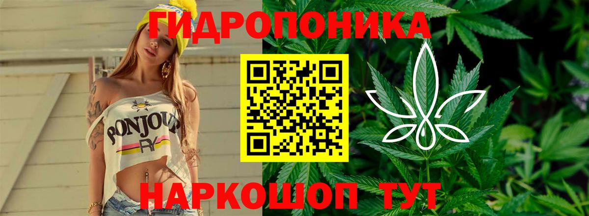 Бошки марихуана SATIVA & INDICA  Конопля план  Ачхой-Мартан 